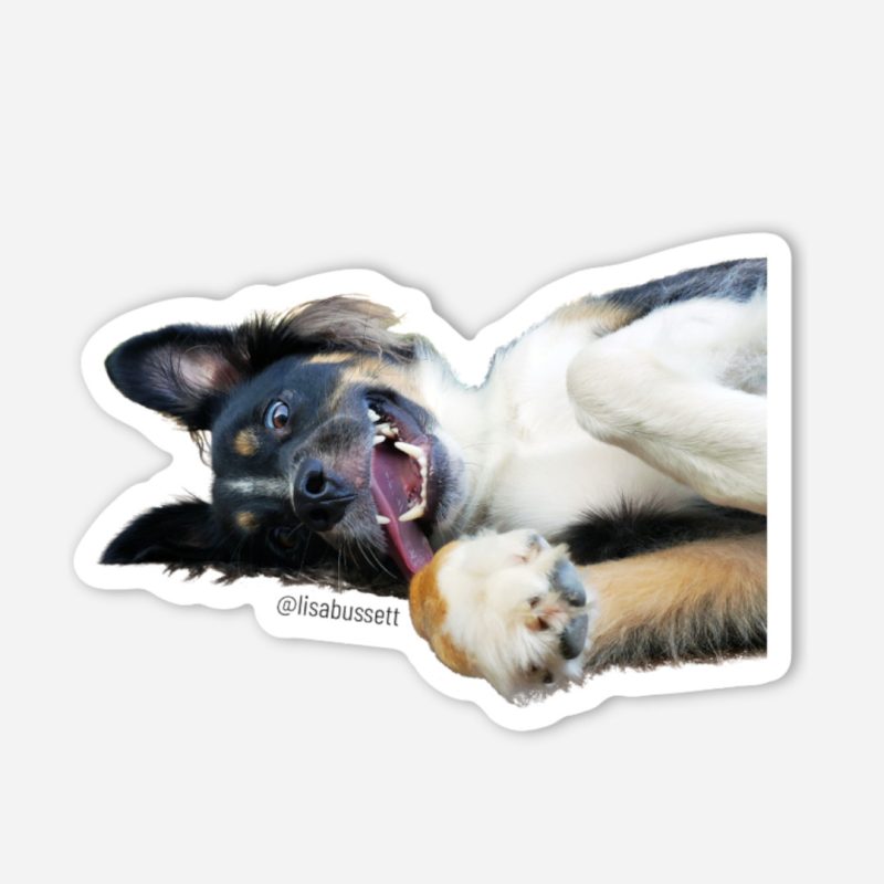 Paco Sticker