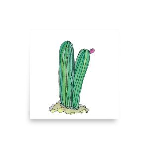Watercolor Barrel Cactus Print